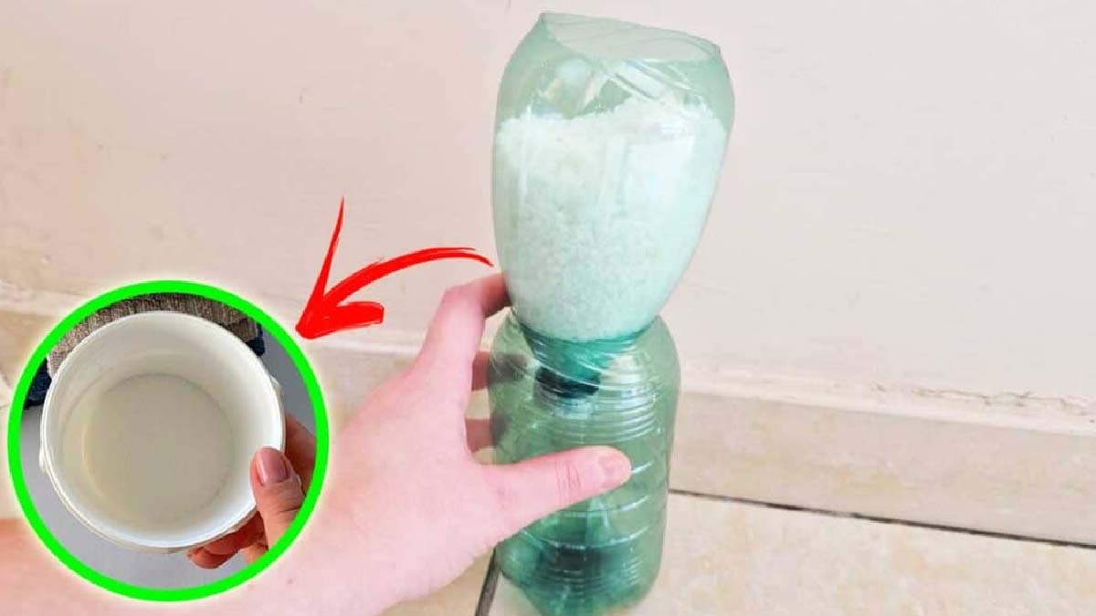 Problèmes d'humidité à la maison : une solution étonnante avec une simple  bouteille