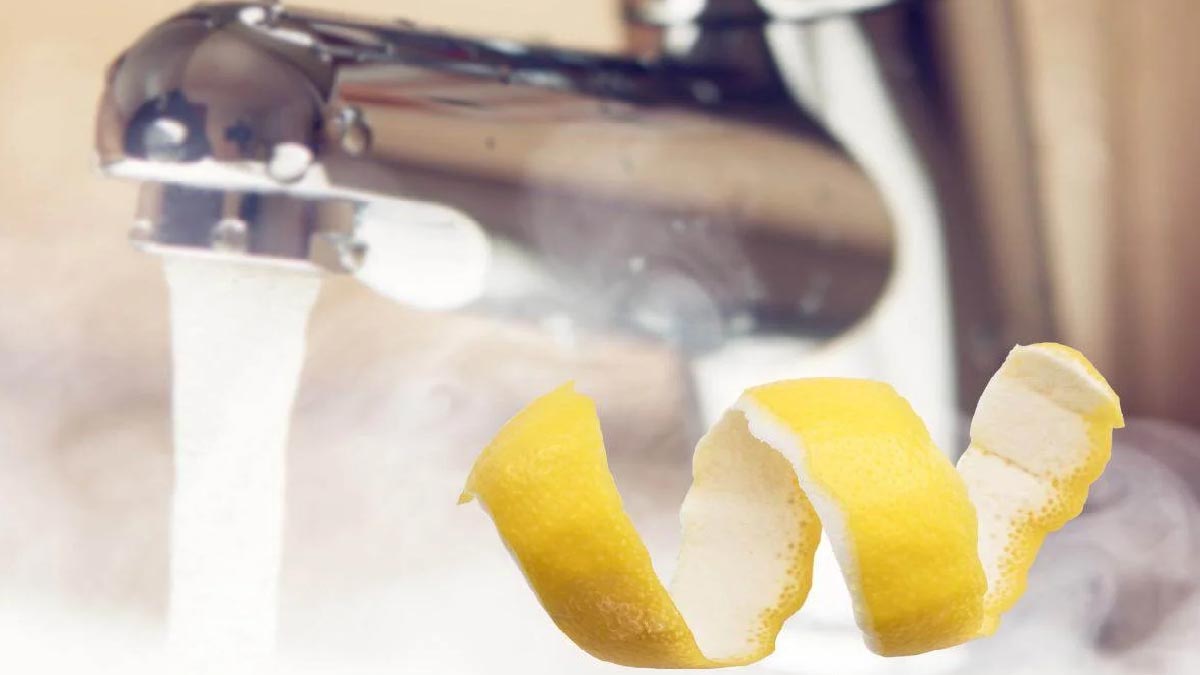 Craquez pour notre Citron dont les zestes rafraichiront vos plats.